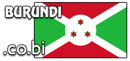 Domain Dienste -> co.bi fr 47,50 € - Laufzeit und Abrechnung  1 Jahr. ( Burundi )