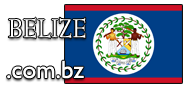 Domain Dienste -> com.bz fr 32,50 € - Laufzeit und Abrechnung  1 Jahr. ( Belize )