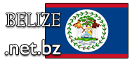 Domain Dienste -> net.bz fr 34,50 € - Laufzeit und Abrechnung  1 Jahr. ( Belize )