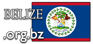 Domain Dienste -> org.bz fr 34,50 € - Laufzeit und Abrechnung  1 Jahr. ( Belize )